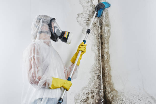 Best Mold Remediation for Healthcare Facilities  in North Lakeport, CA