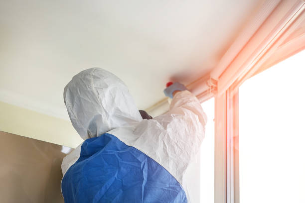 Best Mold Prevention Services  in North Lakeport, CA