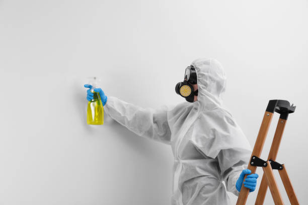 Best Residential Mold Inspection & Testing  in North Lakeport, CA