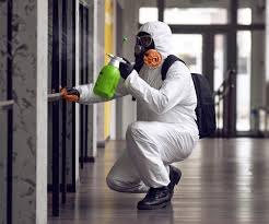 Best Commercial Mold Inspection  in North Lakeport, CA